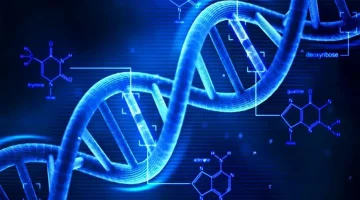 Dna