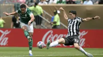 palmeiras